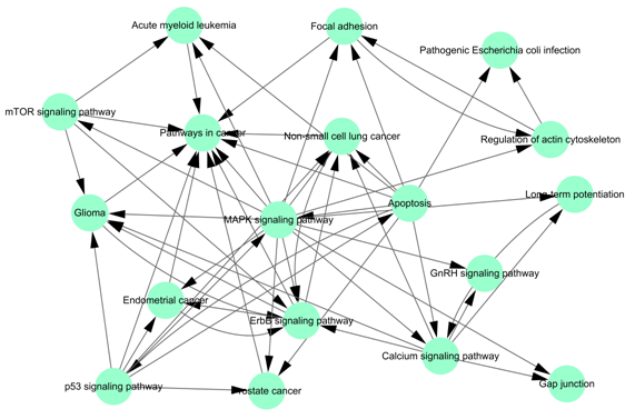 本图表达了显著性 pathway 之间的关系