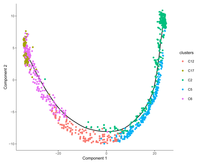 单细胞 RNA 测序拟时序分析